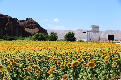 《神秘海域：盗贼遗产合集》详尽PC配置需求 4K需3080